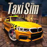 Taxi Sim 2020 (MOD, Molto denaro)