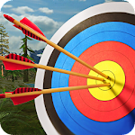Archery Master 3D (MOD, Unlimited Coins)